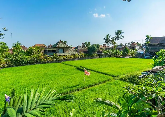 ホテル Gayatri Retreat 4*