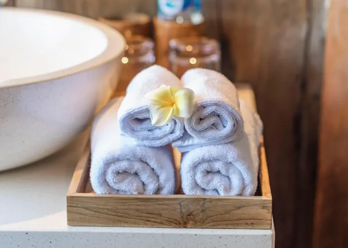 ホテル Gayatri Retreat 4*